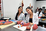 Curso de Fisioterapia do UNICEUSA-FACSAL promove aulas práticas desde os primeiros semestres